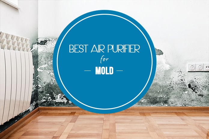 best air purifier for mold