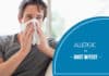 dust mites allergies