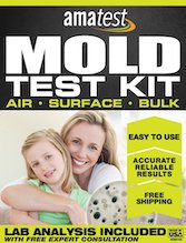 How to Choose the Best Mold Test Kit in 2024