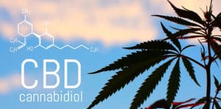 Can You Mix Essential Oils with CBD Oil